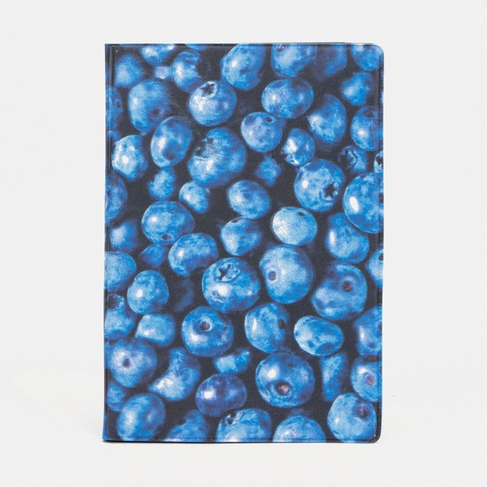 Обложка для паспорта, цвет синий Обложка для паспорта, цвет синий