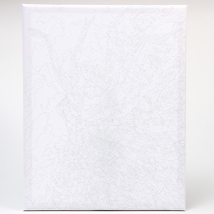 Картина по номерам на холсте с подрамником «Балет», 40 х 50 см