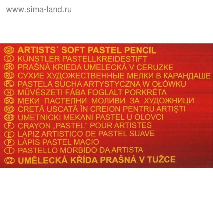 Пастель сухая в карандаше Koh-I-Noor 8820/133, GIOCONDA Soft, пурпурный инжирный, цена за 1 штуку Пастель сухая в карандаше Koh-I-Noor 8820/133, GIOCONDA Soft, пурпурный инжирный, цена за 1 штуку