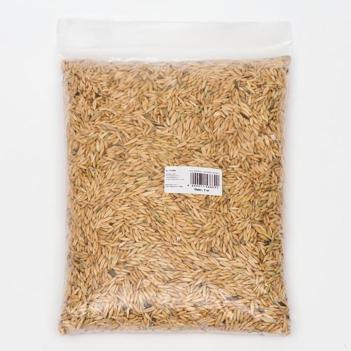 Семена Овес, Мой Выбор, 1 кг Семена Овес, Мой Выбор, 1 кг