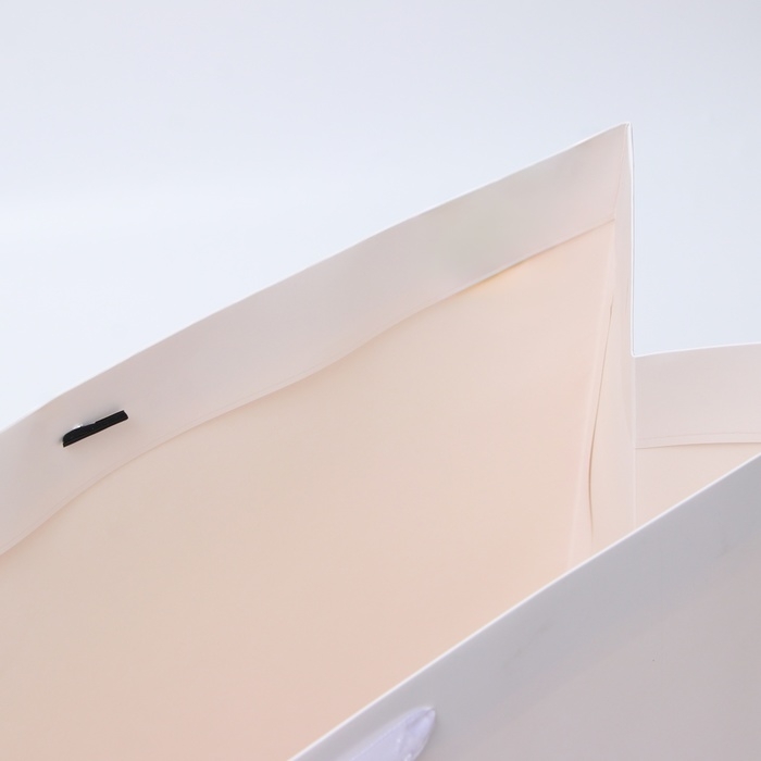 Пакет ламинированный горизонтальный "Белый", XXL  61 х 46 х 20 см