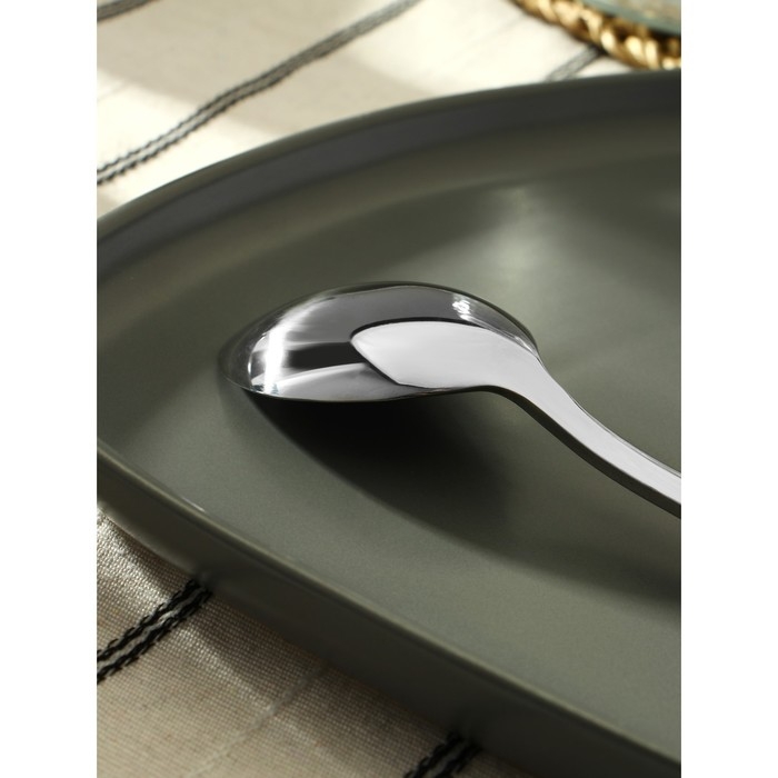 Ложка столовая из нержавеющей стали «Тайфун», длина 19 см, цвет серебряный Ложка столовая из нержавеющей стали «Тайфун», длина 19 см, цвет серебряный