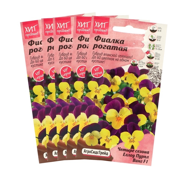 Семена Цветов  Фиалка  Семена Цветов  Фиалка "Еллоу Пурпл Винг",набор 5 шт