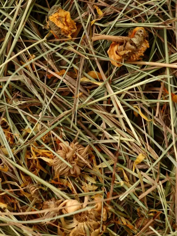 Сено луговое «Зверьё Моё», отборное, ароматное, зеленое, без пыли, календула, 500 г Сено луговое «Зверьё Моё», отборное, ароматное, зеленое, без пыли, календула, 500 г