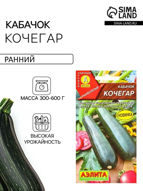 Семена Кабачок цуккини &laquo;Кочегар&raquo;, 1 г, &laquo;Агрофирма АЭЛИТА&raquo;