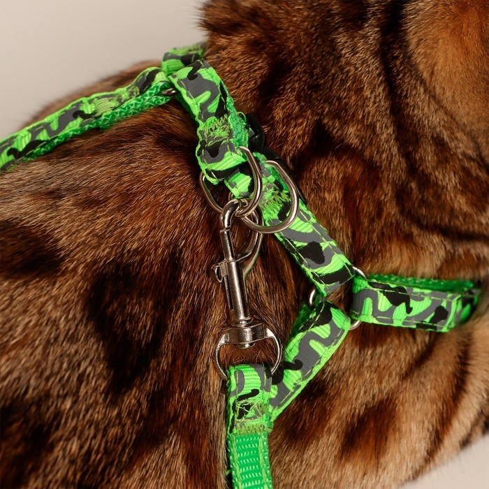 Комплект прошитый Комплект прошитый "Милитари", ширина 1 см, поводок 120 см, шлейка 23-35 см, хаки