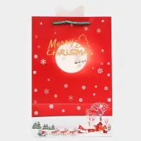 Пакет подарочный ламинированный с окном «Рождественский звон», тиснение 30×20×16 см, красный Пакет подарочный ламинированный с окном «Рождественский звон», тиснение 30×20×16 см, красный