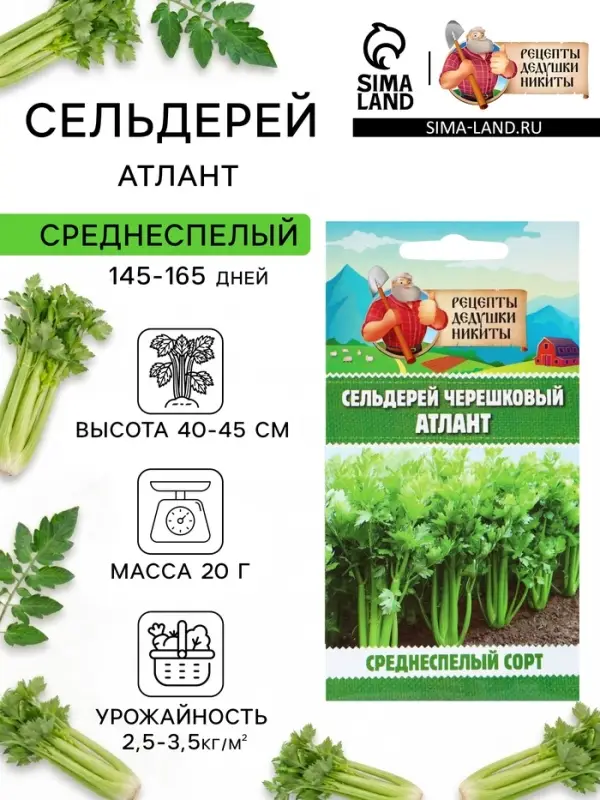 Семена Сельдерей &laquo;черешковый Атлант&raquo;, 0.5 г, &laquo;Рецепты дедушки Никиты&raquo;