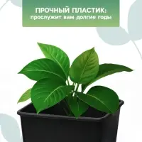 Горшок для рассады, 11 л, 25&times;25&times;26 см, чёрный