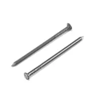 Гвозди ТУНДРА, строительные, ГОСТ 4028-63, без покрытия, 2.5&times;50 мм, фасовка 1 кг