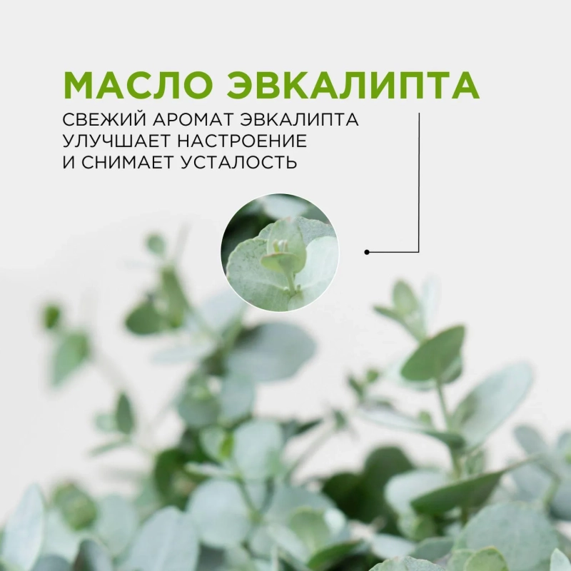 Соль для ванн магниево-сульфатная с маслом эвкалипта, 1000 гр