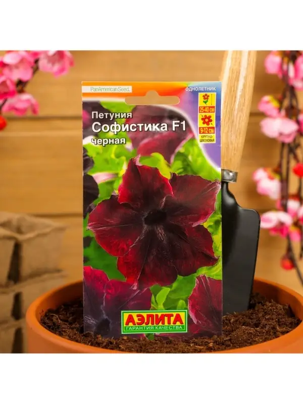 Набор семян Петуния Софистика черная F1 крупноцветковая, 4 шт., 2 шт. Набор семян Петуния Софистика черная F1 крупноцветковая, 4 шт., 2 шт.