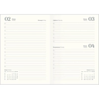 Ежедневник датированный 2026 IF 14х20см 176л, мягкий, Nightfall I1736/light