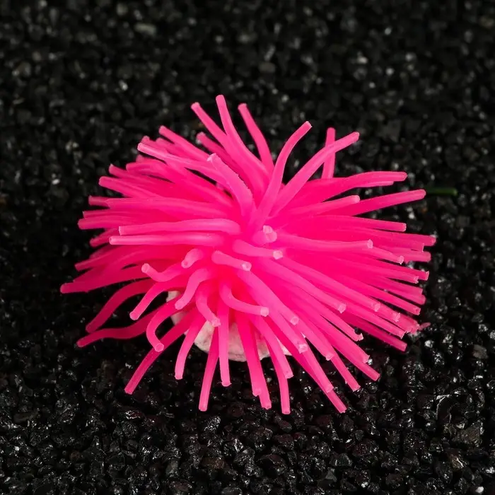 Декоративный анемон для аквариума, 8 х 5 см, розовый