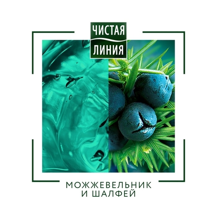 Шампунь для волос Чистая линия For Men 3 в 1 «Энергия и чистота», комплексный уход, 400 мл Шампунь для волос Чистая линия For Men 3 в 1 «Энергия и чистота», комплексный уход, 400 мл