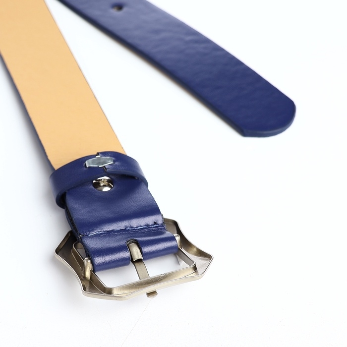 Ремень женский, ширина 2,5 см, винт, пряжка металл, цвет синий Ремень женский, ширина 2,5 см, винт, пряжка металл, цвет синий