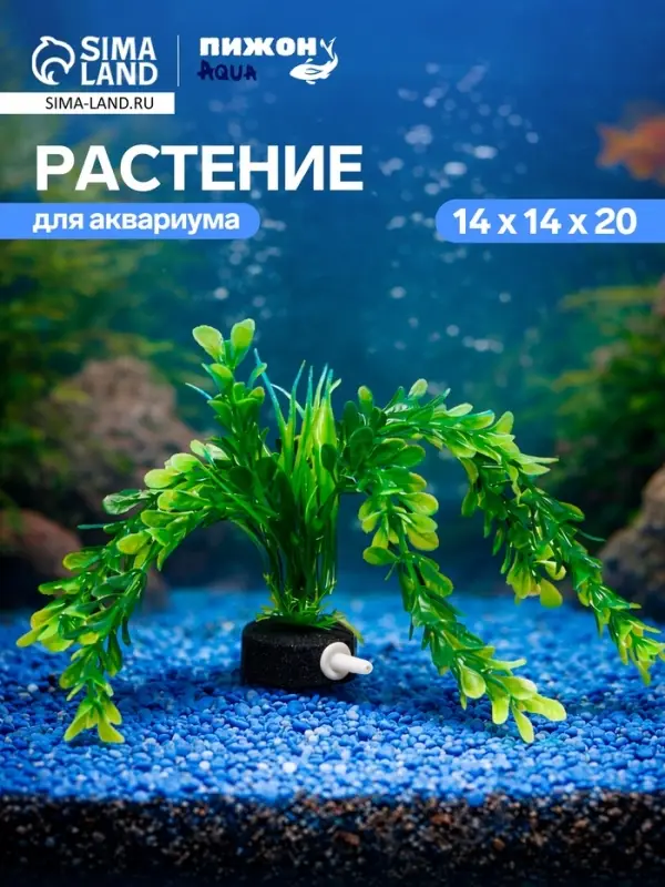 Растение искусственное