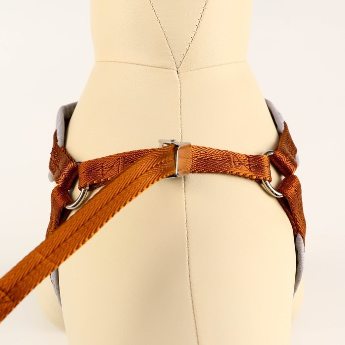 Комплект мягкая шлейка, круглый поводок 1,5 х 120 см с вертлюгом, M, ОШ 32-72 см, ОГ 32-72 см, корич Комплект мягкая шлейка, круглый поводок 1,5 х 120 см с вертлюгом, M, ОШ 32-72 см, ОГ 32-72 см, корич