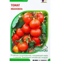 Семена Томат &laquo;Ивановна&raquo;, &laquo;Симбиоз&raquo; 20 шт.