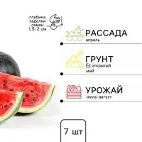 Семена Арбуз &laquo;Мармеладный&raquo;, 7 шт., &laquo;Сибирский сад&raquo;