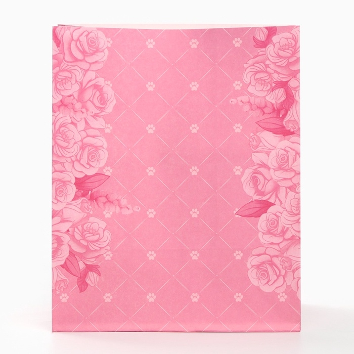 Набор крафтовых пакетов со стикерами, Коты Аристократы, 18х22х12 см Набор крафтовых пакетов со стикерами, Коты Аристократы, 18х22х12 см