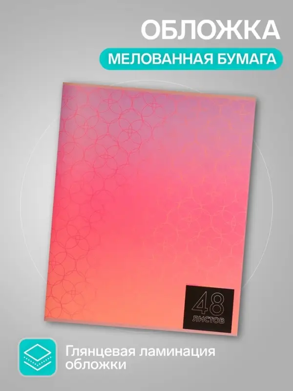 Тетради 5 штук (4 разные, 1 повторяющаяся), 48 листов в клетку &laquo;Мыльные пузыри&raquo;, серые листы, обложка мелованная блок №2