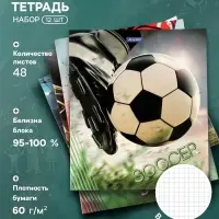 Тетради &laquo;Футбол&raquo;, 48 листов в клетку, 12 шт.