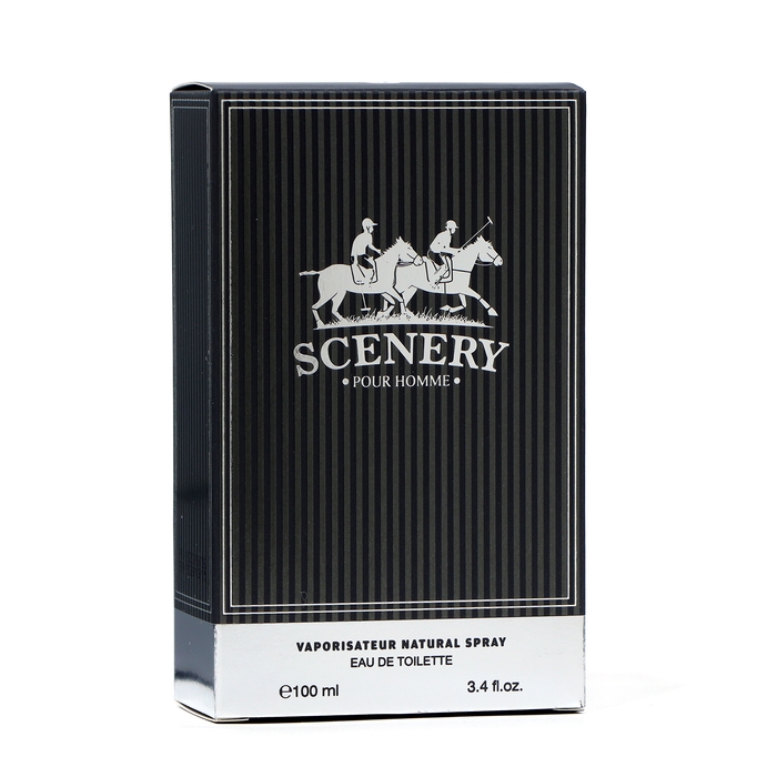 Туалетная вода мужская Scenery, 100 мл Туалетная вода мужская Scenery, 100 мл