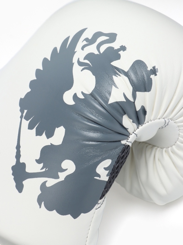 Боксерские перчатки FIGHT EMPIRE, PRIDE, белые, размер 12 oz