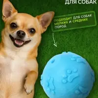 Игрушка для собак &laquo;Мяч-лапка&raquo;, 6 см, TPR, синяя