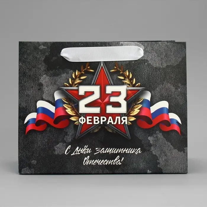Пакет подарочный ламинированный, упаковка, &laquo;23 февраля&raquo;, MS 23&times;18&times;10 см