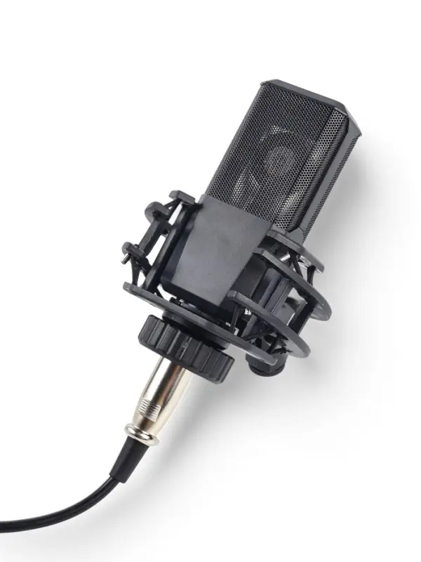 Микрофон конденсаторный Music Life LGT240: стойка + кабель в комплекте