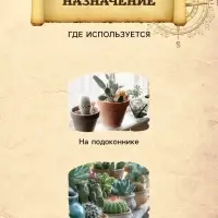 Грунт для Кактусов и суккулентов PETER PEAT, линия &laquo;Хобби&raquo;, 2.5 л