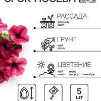 Семена цветов Петуния &laquo;Тайдал Вейв Пурпл&raquo;, 5 шт., &laquo;Агросидстрейд&raquo;