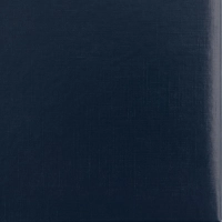 Папка адресная без тиснения бумвинил с поролоном синяя