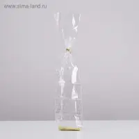 Пакет &laquo;Подарочный&raquo;, с жестким дном, МИКС, 6&times;8&times;23.5 см