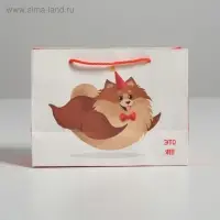 Пакет подарочный, упаковка, «Лучший подарочек», 14,5 х 19,5 х 8,5 см