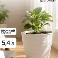 Горшок цветочный с поддоном Saffron, 5.4 л, d=22.4 см, h=20.5 см, пластиковый, бежевый