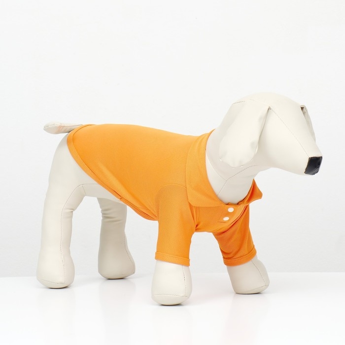 Футболка-поло для животных, S (ДС 25, ОГ 35, ОШ 24 см), оранжевая Футболка-поло для животных, S (ДС 25, ОГ 35, ОШ 24 см), оранжевая