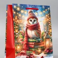 Пакет подарочный новогодний ламинированный, «Сова» , 18×10×22.3 см