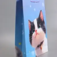 Пакет подарочный "Мурлыка счастья" 33 х 42,5 х 10 см