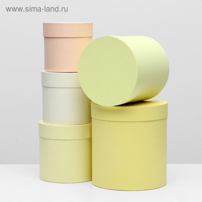 Набор круглых коробок 5 в 1 UPAK LAND ,Солнечный, 23 х 23 х 25 - 15 х 15 х 15 см Набор круглых коробок 5 в 1 UPAK LAND ,Солнечный, 23 х 23 х 25 - 15 х 15 х 15 см