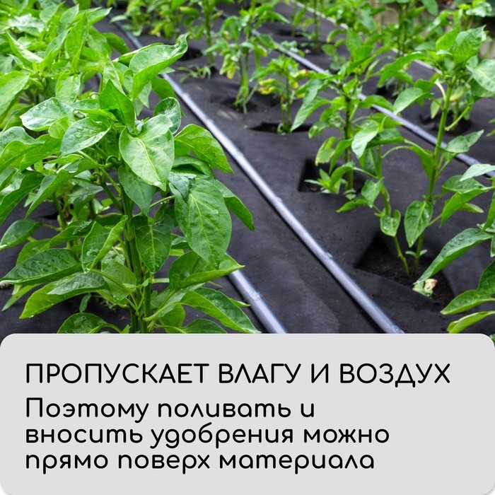 Материал мульчирующий, 10 × 0,8 м, плотность 80 г/м², спанбонд с УФ-стабилизатором, чёрный, Greengo, Эконом 30% Материал мульчирующий, 10 × 0,8 м, плотность 80 г/м², спанбонд с УФ-стабилизатором, чёрный, Greengo, Эконом 30%