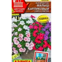 Семена цветов Катарантус Малыш карликовый, смесь сортов Цветущий балкон, Ц/П,0,05 г Семена цветов Катарантус Малыш карликовый, смесь сортов Цветущий балкон, Ц/П,0,05 г
