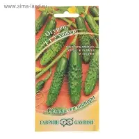 Семена Огурец "Ухажер" F1 , среднепоздний, пчелоопыляемый, 10 шт. Семена Огурец "Ухажер" F1 , среднепоздний, пчелоопыляемый, 10 шт.