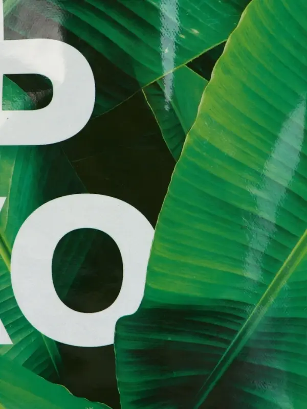 Пакет из нетканого материала с ламинацией, 36 x 46 x 16,