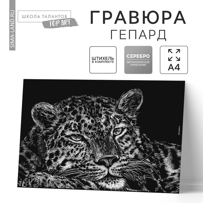 Гравюра «Гепард» с металлическим эффектом «серебро» А4