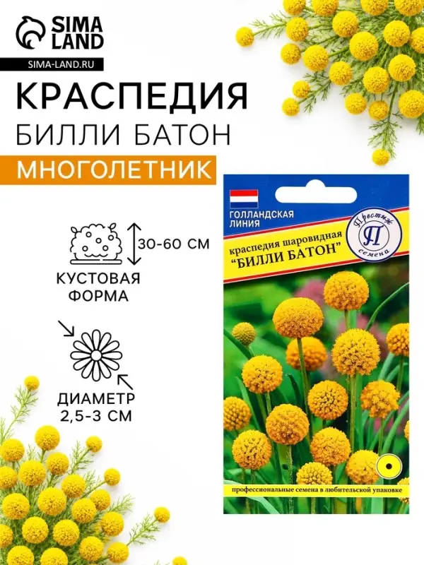 Семена цветов Краспедия шаровидная "Билли Батон", 10 шт