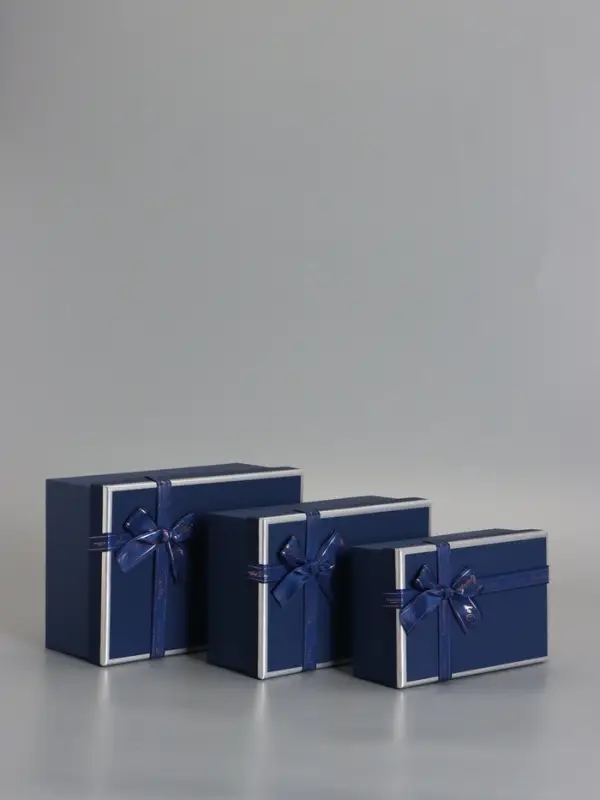 Наборок коробок 3 в 1 прямоугольные 23*16*9.5 21*14*8.0 19*12*6.5 см