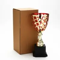 Кубок спортивный 194 С, наградная фигура, золото, подставка пластик, 29&times;12&times;12 см